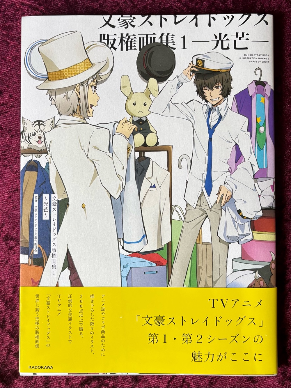 Bungo Stray Dogs Illustration Works 1: Shaft of Light Art Book